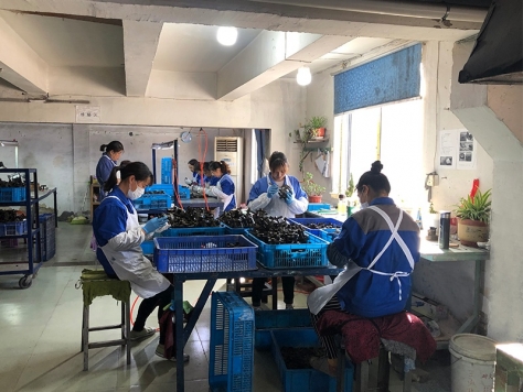 修蠟，檢驗